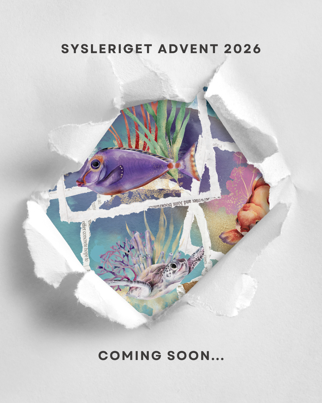 Julekalender 2026 | Underwater World